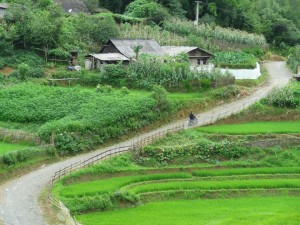 Vietnam -1