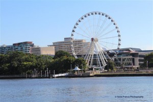 Gallery_Brisbane (12)